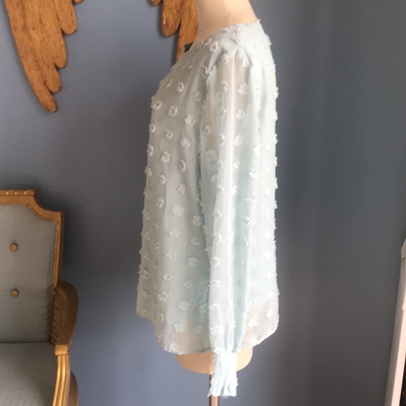 NWOT aqua blue sheer mesh lined Swiss dot long sleeves pull over top size L - Picture 3 of 11